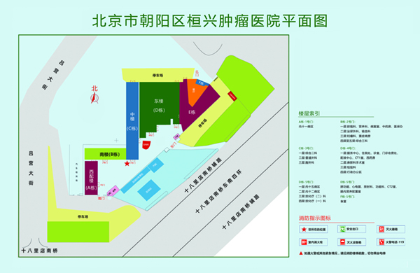 我爱操日本大逼北京市朝阳区桓兴肿瘤医院平面图